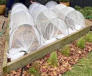 Dual Grow Tunnel Insect Exclusion Netting / Hot House (3.0mtr long x 60cm  wide, 4 Hoops) — Gardening Direct Australia