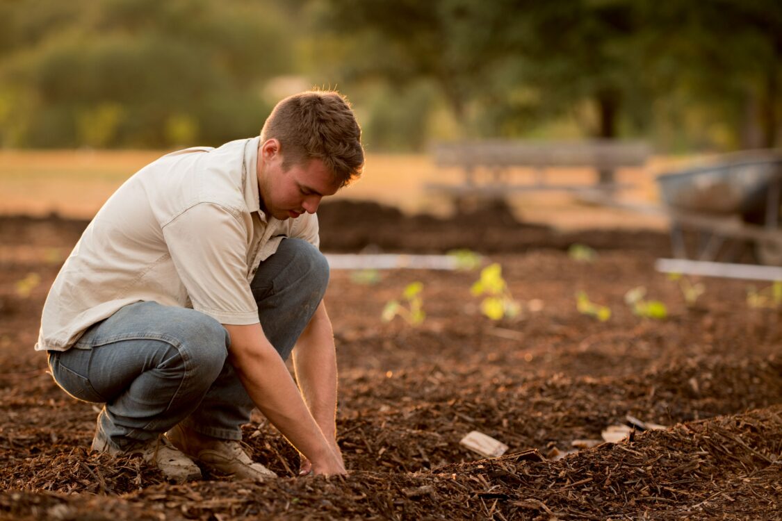man planting a vegetable garden