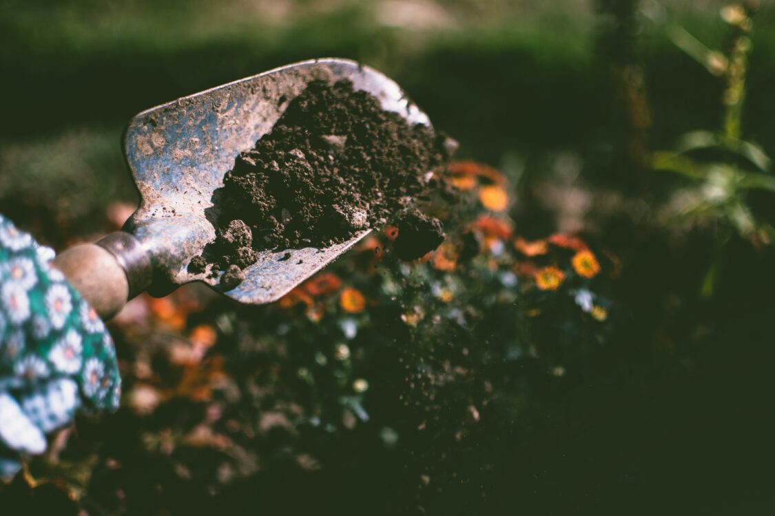 rich and fertile soil with black grit