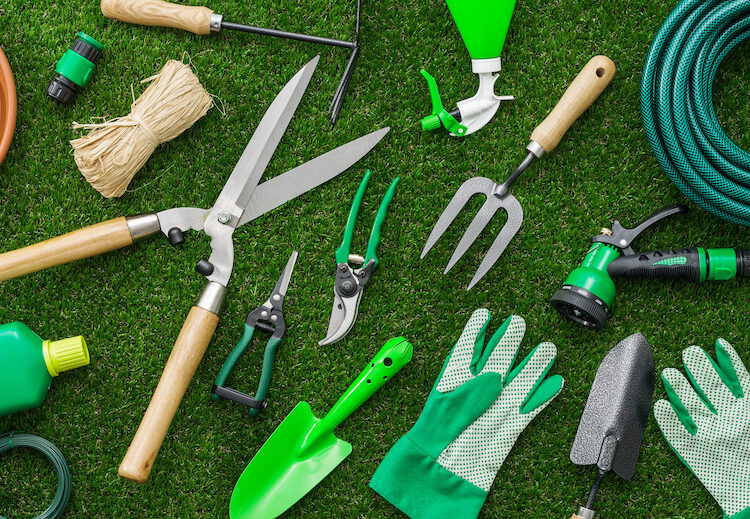 5 Essential Items You Need In Your Garden Tool Set