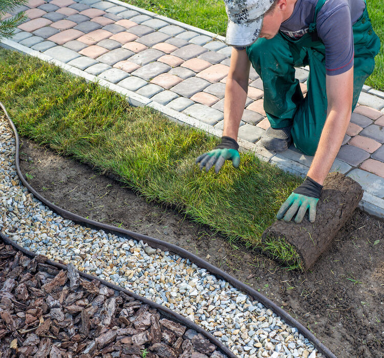 5 Key Things To Consider When Choosing a Landscaping Service in Melbourne
