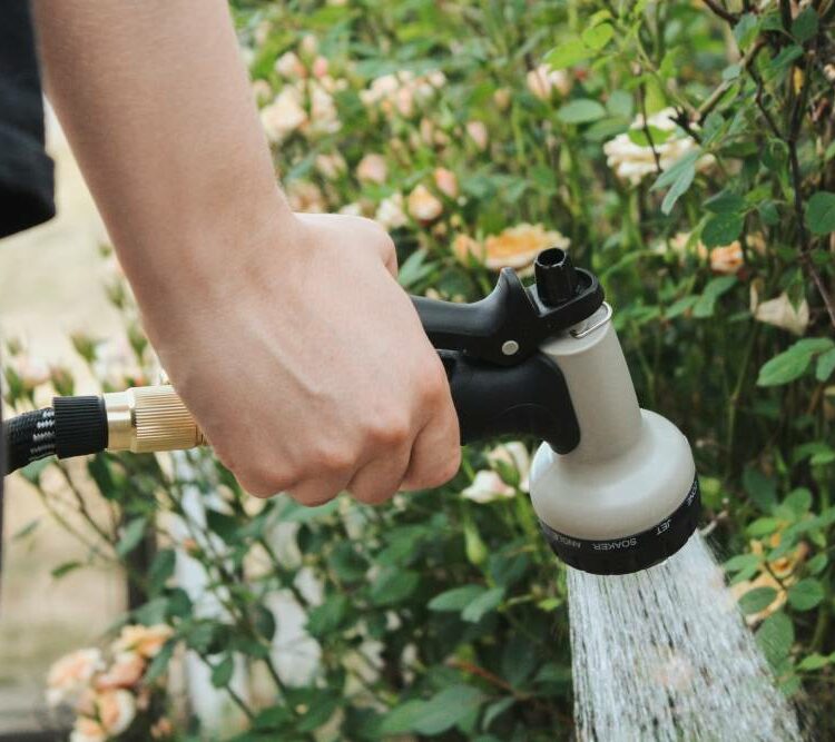 The Ultimate Guide for Garden Watering: Tips and Essential Products