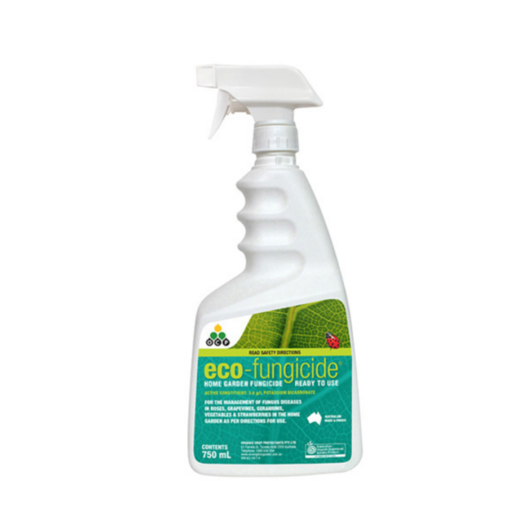 OCP eco-fungicide - Image 2