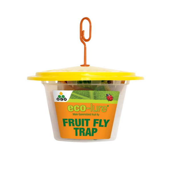 OCP eco-lure male Queensland fruit fly trap